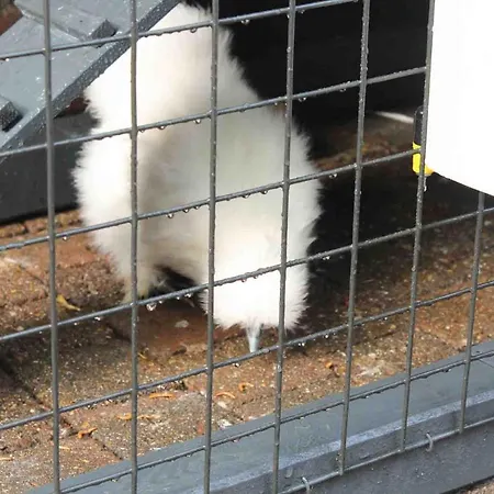 Pats ベッド・アンド・ブレックファスト 4*