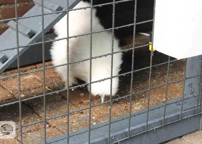 Pats Bed & Breakfast 4*