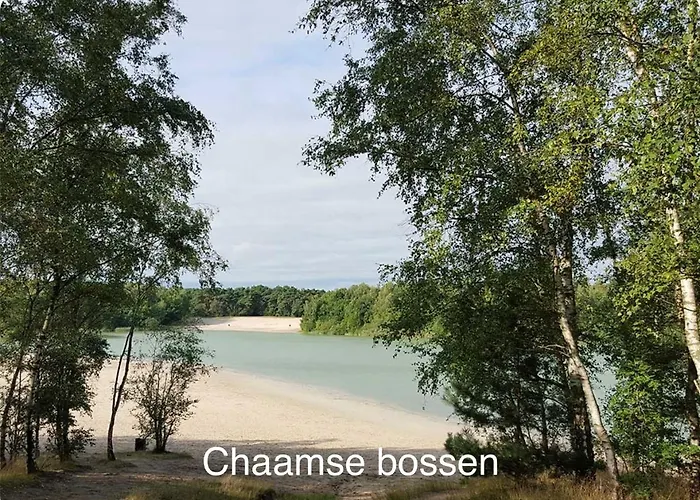 Pats Bed & Breakfast Gilze