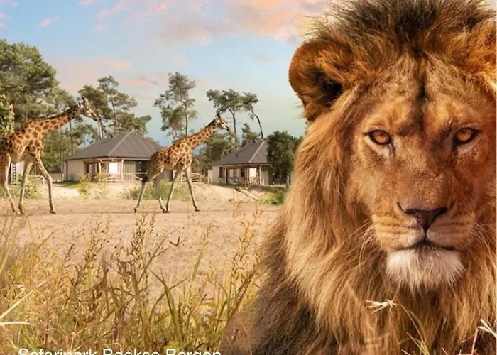 Pats Bed & Breakfast Gilze