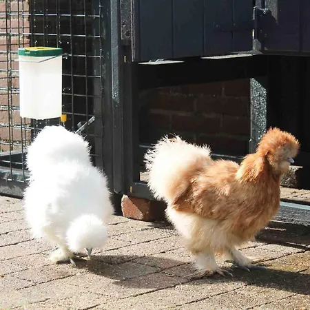 Pats Bed and breakfast 4*