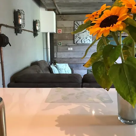 Pats Bed and breakfast 4*