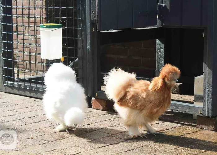 Pats Bed and breakfast 4*